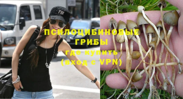 МДПВ Абинск