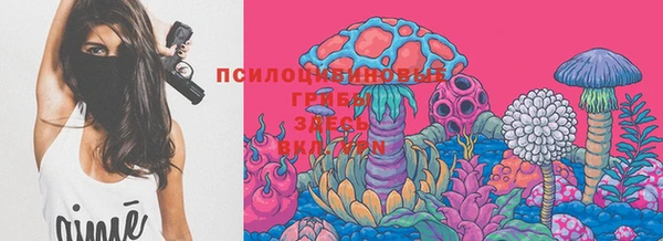 гашик Абдулино